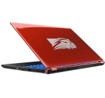 Falcon_Northwest TLX 15.6" i7-10875H 32GB RTX 2060 M2 SSD laptop