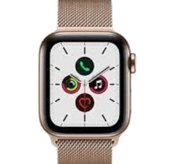 Apple Watch Series 5 40mm Gold SS Leather Loop GPS Cellular