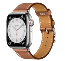 Apple Watch Series 5 44mm SS Leather Loop GPS Cellular
