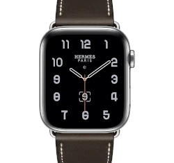Apple Watch Series 5 Hermes 44mm SS Single Tour Deployment Buckle GPS Cellular smartwatch
