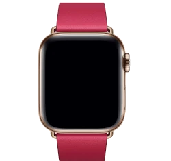 Apple Watch Series 6 40mm Aluminum Modern Buckle A2293 GPS Cellular smartwatch