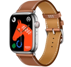 Apple Watch Series 8 Hermes 45mm Silver Stainless Steel Case with Gourmette Double Tour A2774 GPS Cellular